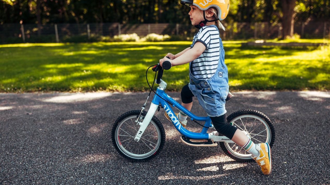 ORIGINAL 1 PLUS leichtes & innovatives Laufrad