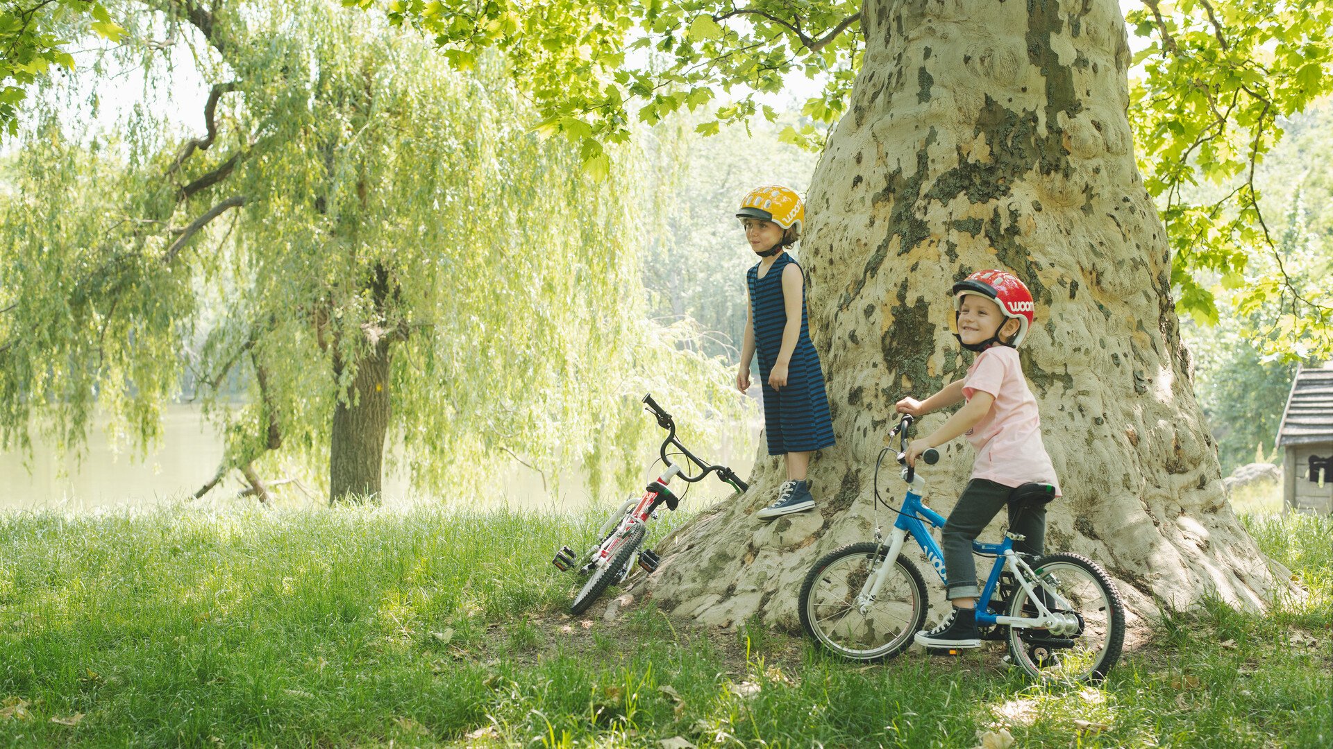 Vélo enfant : tous les critères pour bien choisir son deux-roues