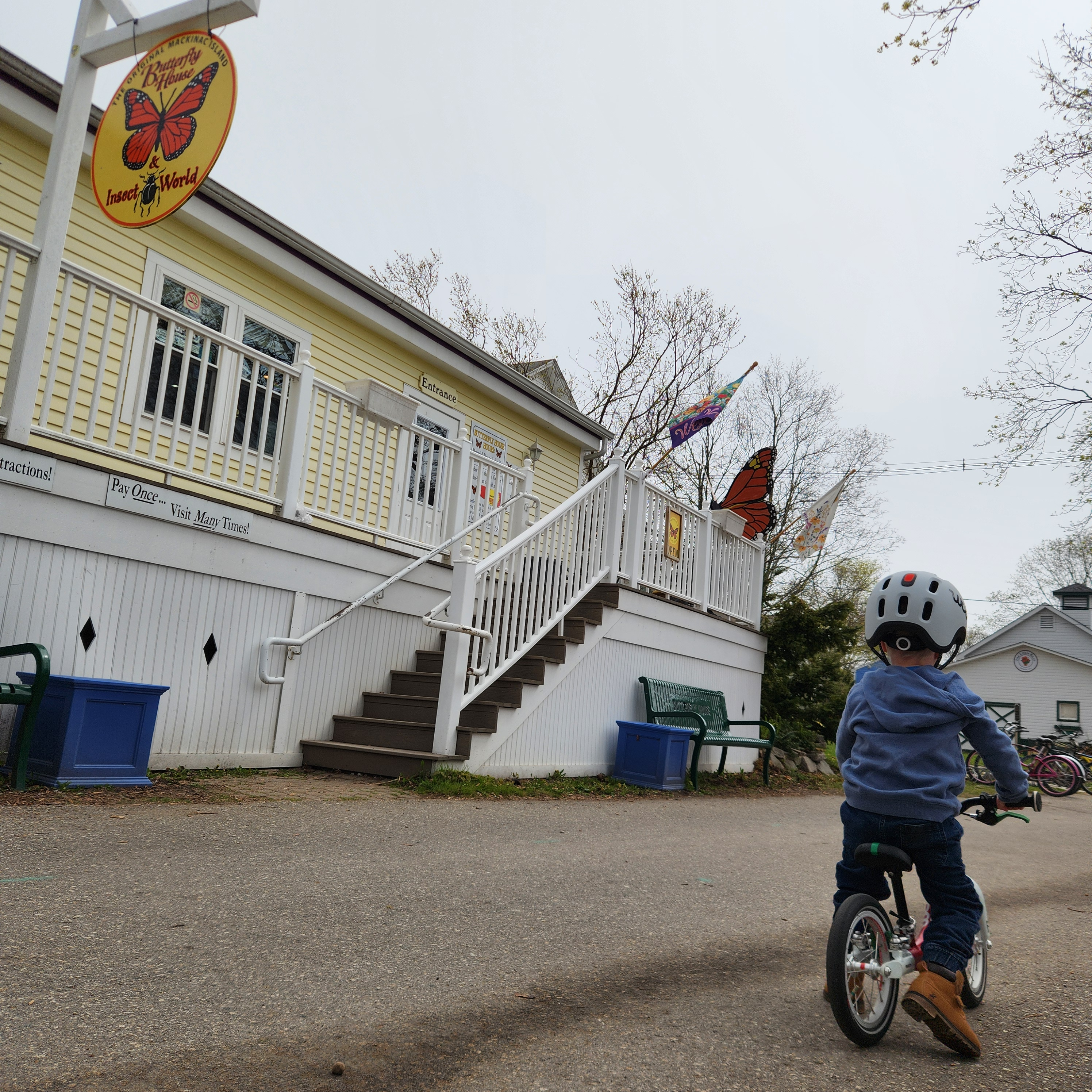 2. A boy in a light grey READY Kids’ Helmet with READY Helmet Light rides his woom ORIGINAL 1 bike past the entrance to The Original Mackinac Island Butterfly House & Insect World. 