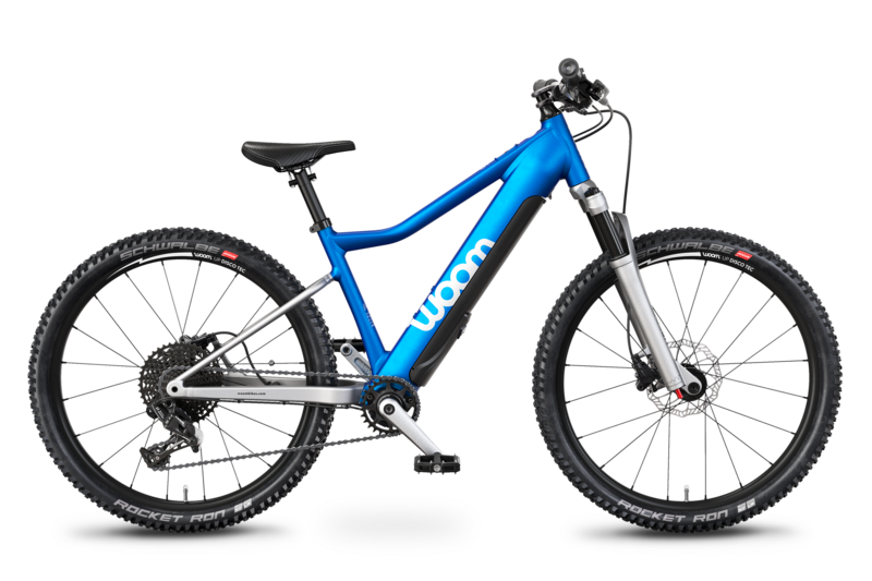 ebike mtb sale